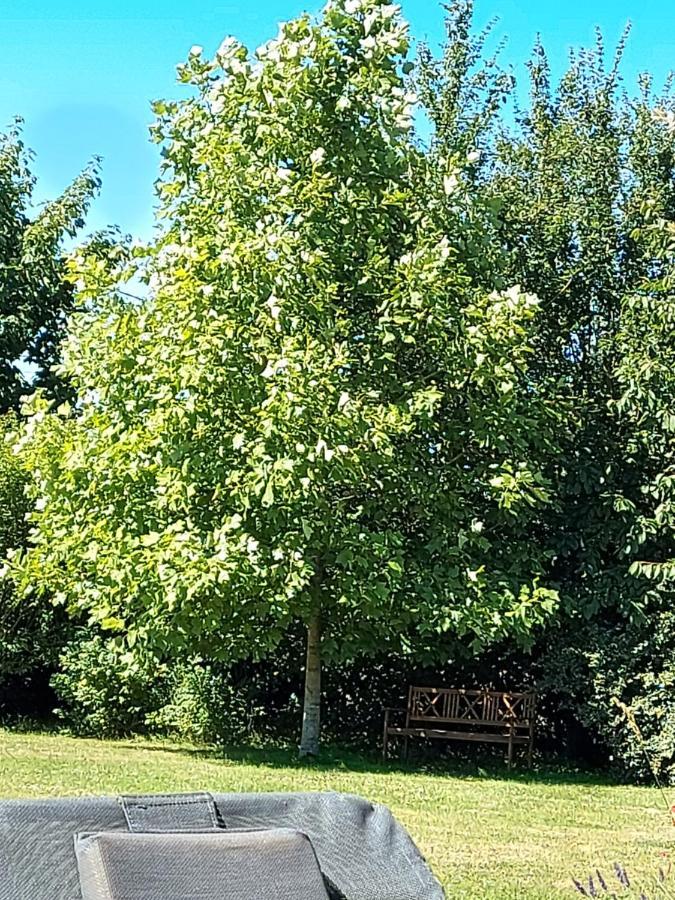 Holiday home D'anne Et Ulysse *