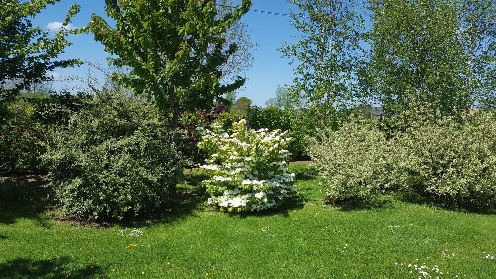 D'anne Et Ulysse Holiday home Sept-Freres